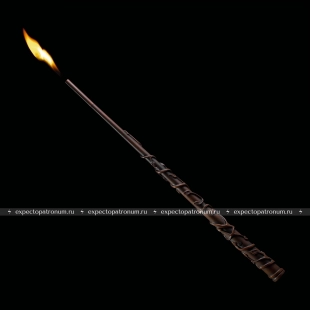 Огненная волшебная палочка Гермионы Грейнджер